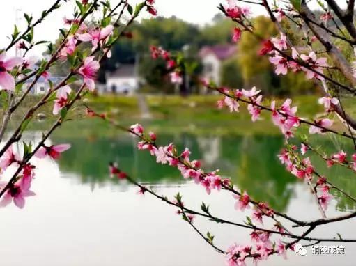 看完以后，你一定会怀疑之前观看铜陵这个村子的方式不对