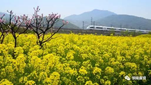 看完以后，你一定会怀疑之前观看铜陵这个村子的方式不对