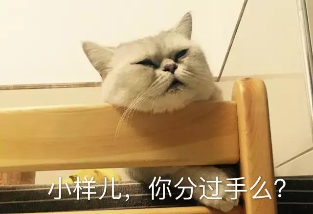 情侣搞笑分手套路,富二代的分手套路