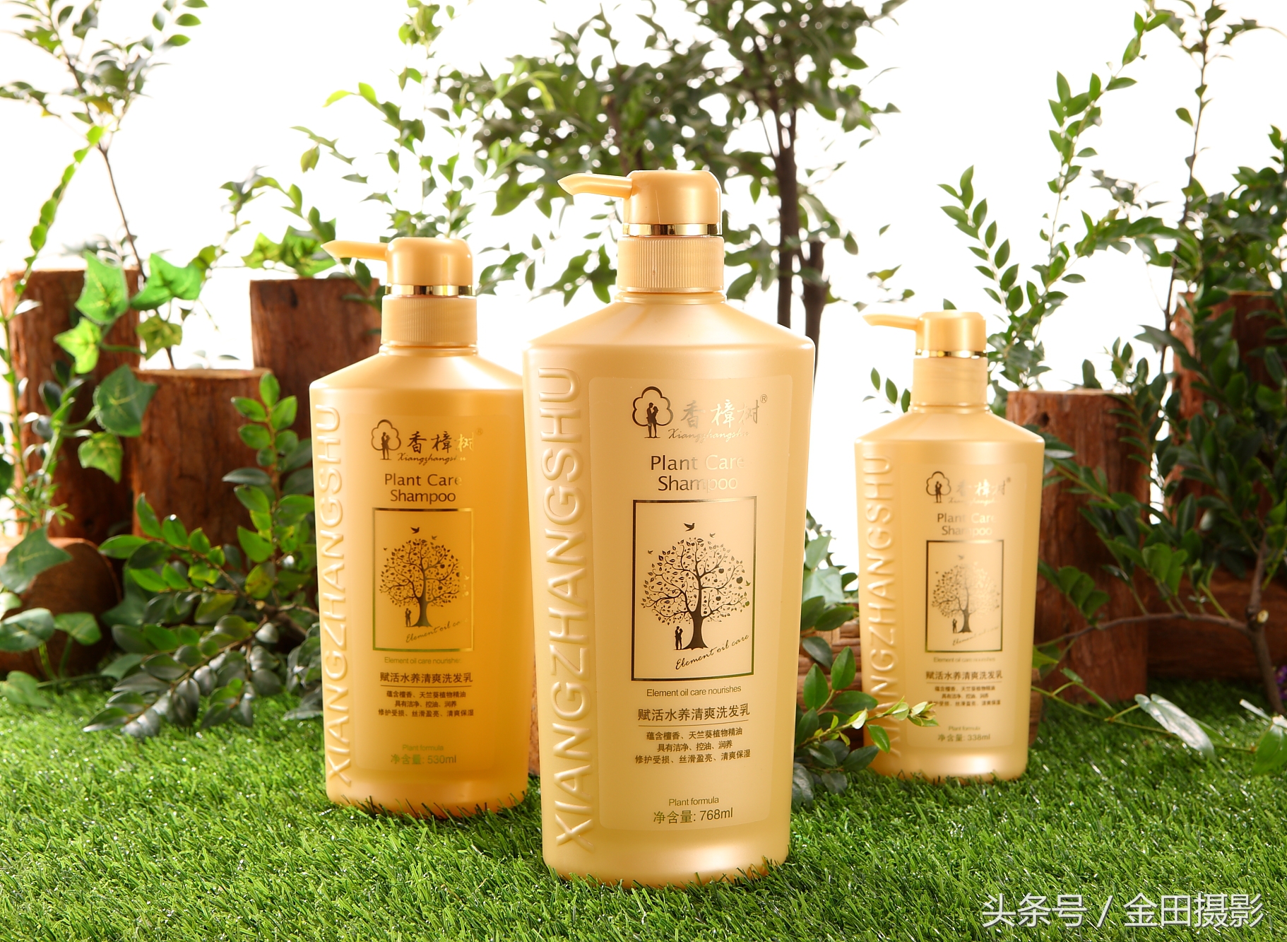 金田旅行摄影,金田摄影证件照