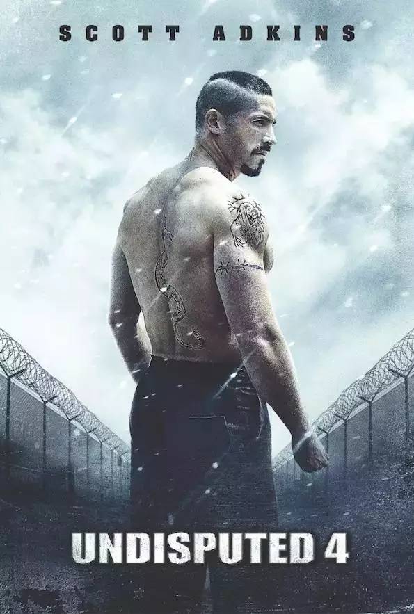 这周热门电影,这周电影院热门电影有哪些