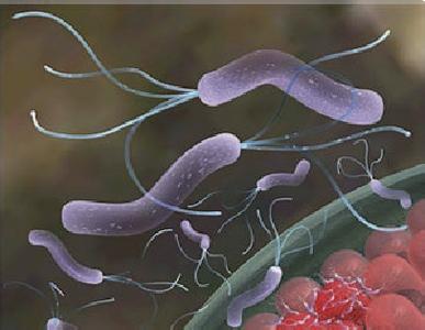 幽门螺杆菌宝宝感染怎么办,小孩感染幽门螺杆菌怎么彻底治疗