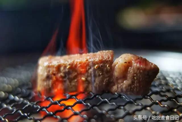 广州炭火烤肉店推荐,推荐广州最好吃的烤肉店美食攻略
