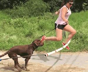 怎么把自己说得很凄惨,怎么能把自己说的那么可怜兮兮呢