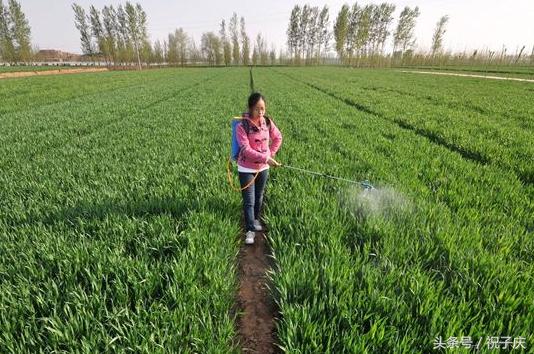 承包土地4年赔50万怎么办,承包土地被收回怎么补偿