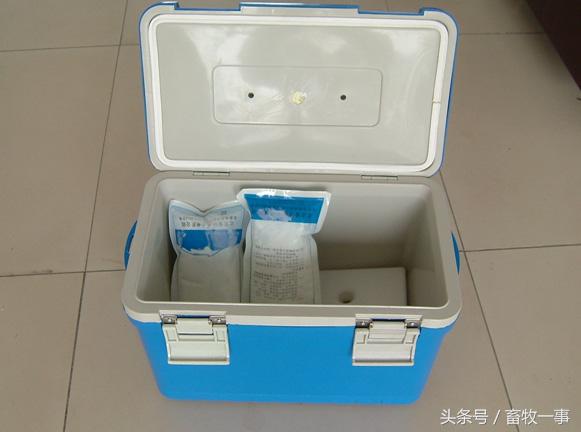 养猪怎样提高人工授精的成功率,养猪新模式猪舍建造