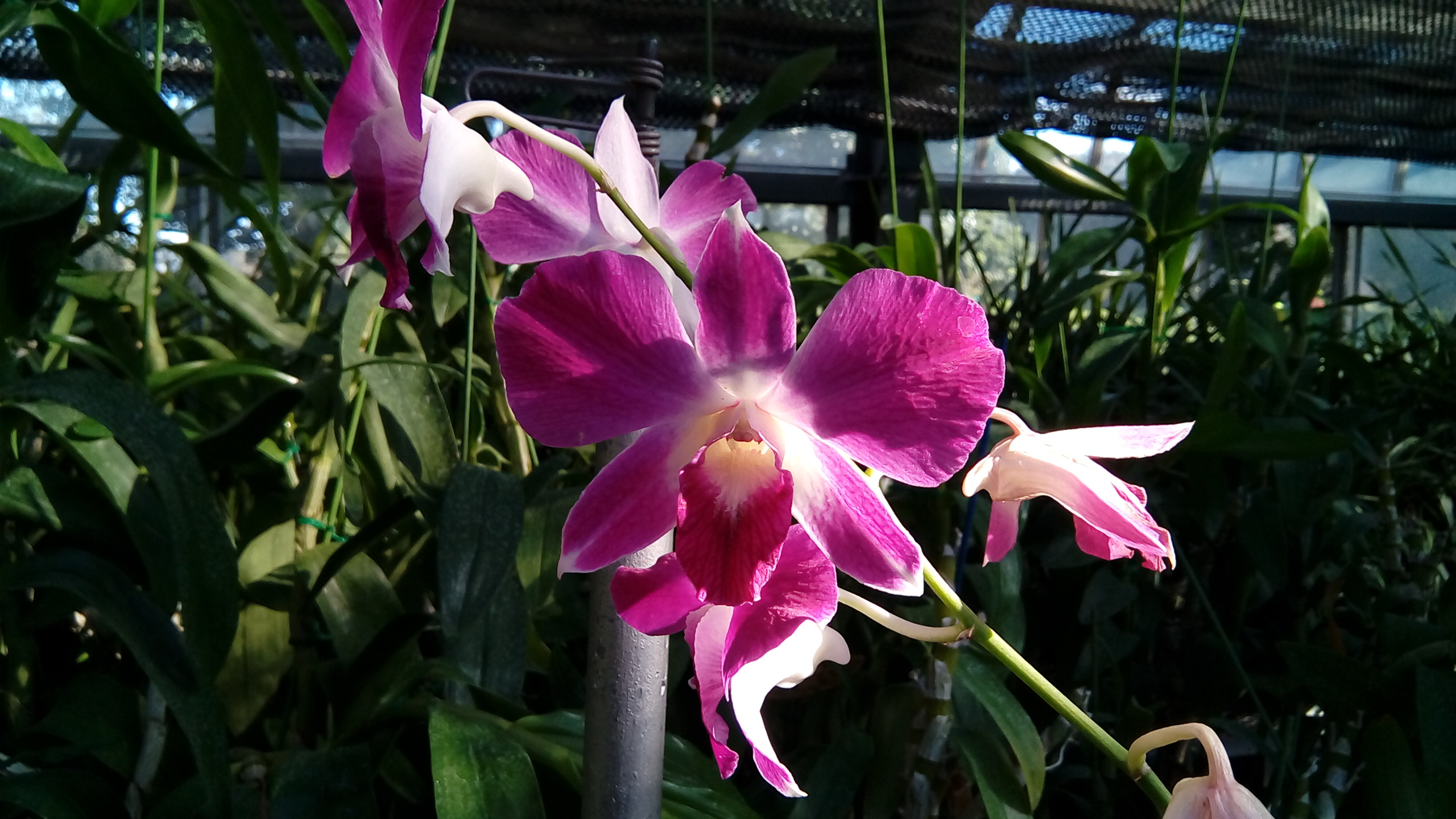 华硕z500平板评测视频,华硕平板z8s评测