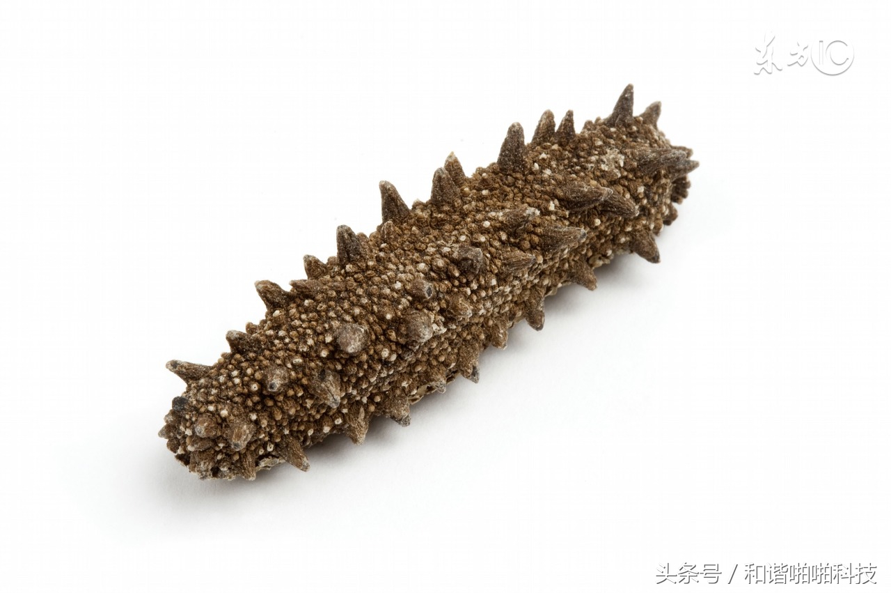 教你如何化解感情婚姻危机,解除感情心结最有效的方法