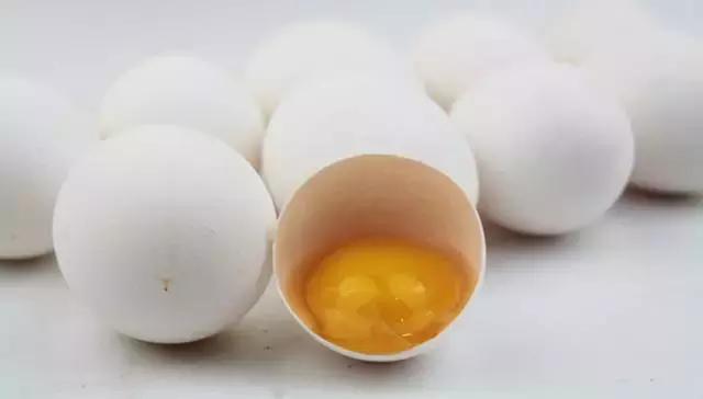 9种奇葩的动物蛋,这些奇葩的鸡蛋你见过吗