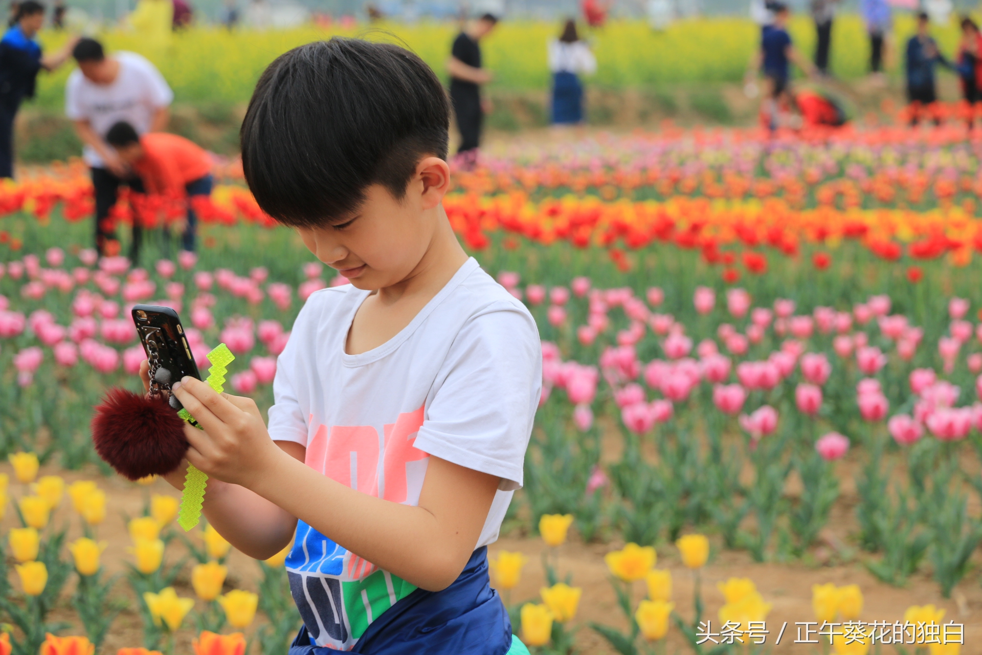 狼牙山田园花海入口,狼牙山万亩花田附近景点