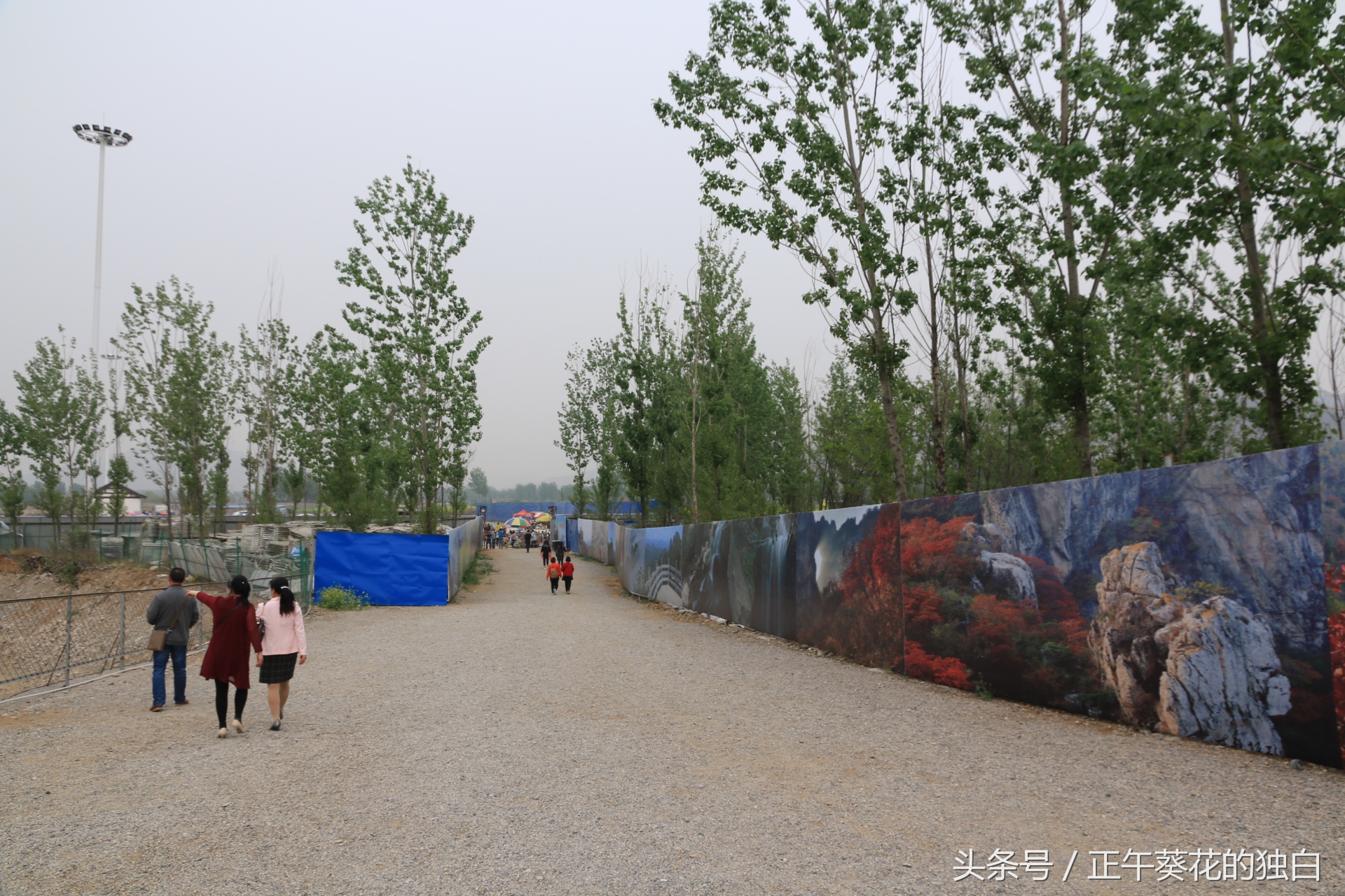 狼牙山田园花海入口,狼牙山万亩花田附近景点