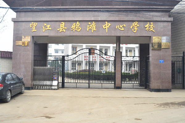 安庆最牛小区,安庆望江县第一大镇