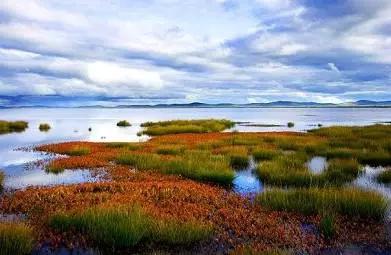 四川不可不去的十个景区,四川湿地风景区