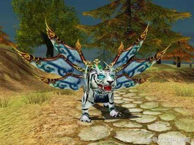 细说那些经典火爆网游中的威猛老虎
