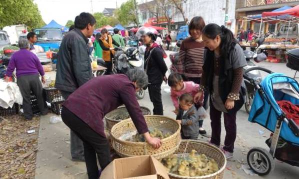 望亭污染,望亭发电厂污染严重吗