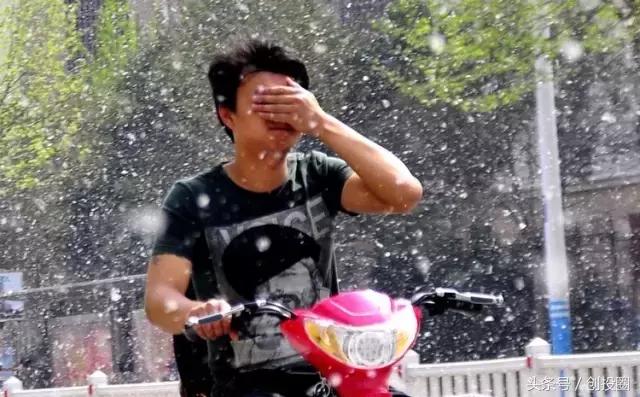 来一罐北京柳絮吧！从如何防絮看创业商机