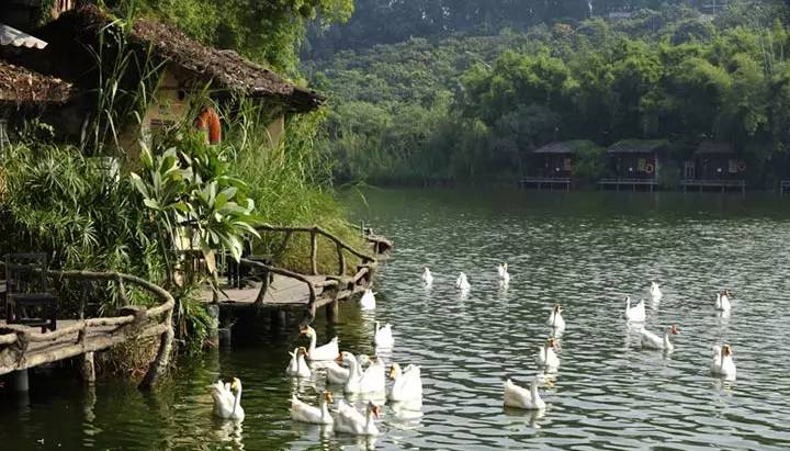 观澜山水田园购票攻略,观澜山水田园水上乐园门票多少钱