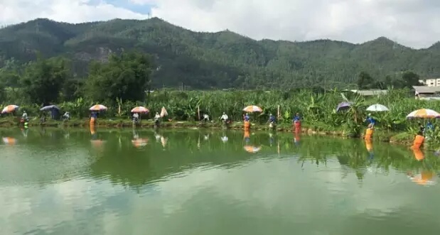 盘点几款最好用的钓鱼小药,钓鱼小药种类解析