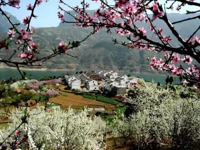 又一封辞职信火了！只因TA来了一趟巫山！