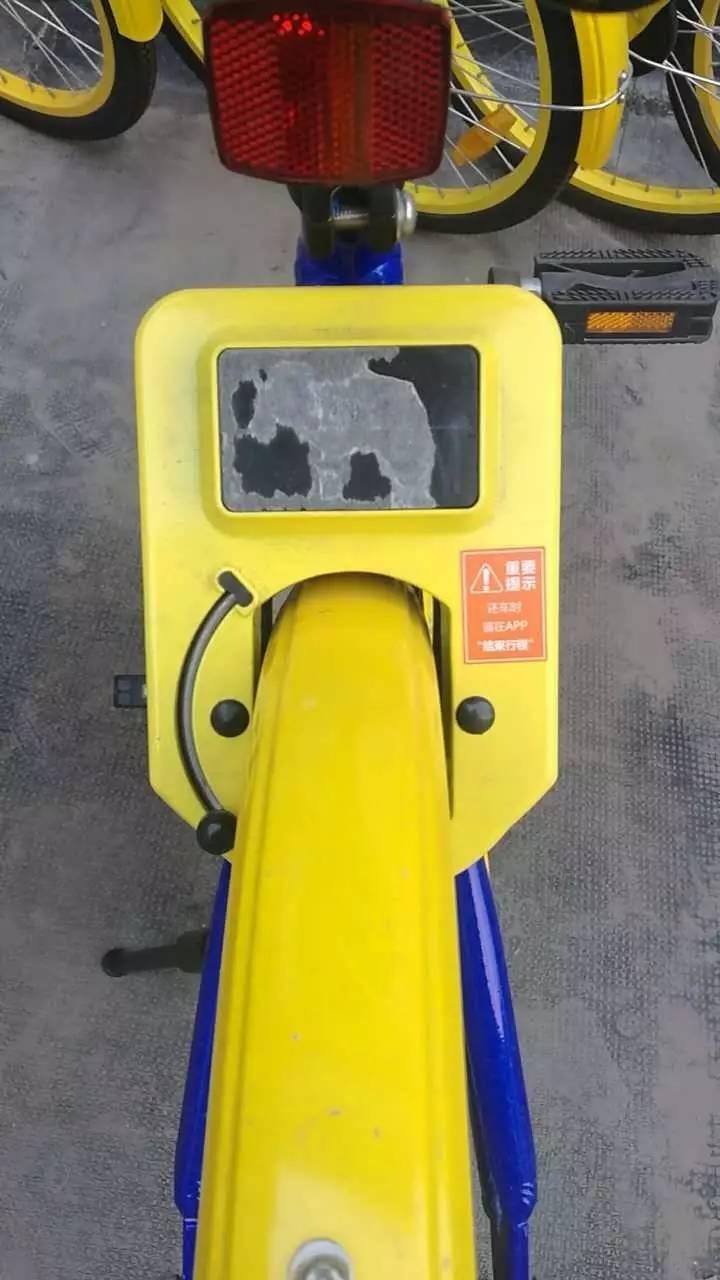 唐山人民爱上了共享单车!