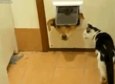 这广告打的我猝不及防,这广告打得我猝不及防什么意思