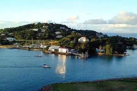 清华思客｜沃尔科特：幸运的旅行者？不幸的*亡流**人