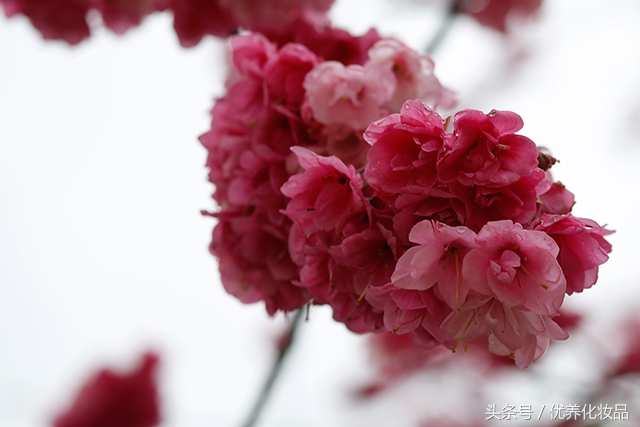 有诗和远方的地方,有诗和远方的故乡