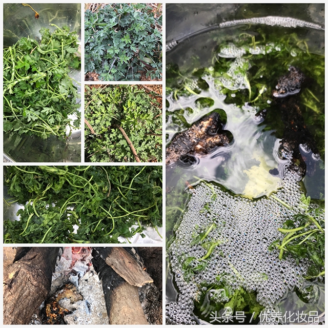 有诗和远方的地方,有诗和远方的故乡