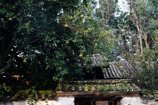 有诗和远方的地方,有诗和远方的故乡