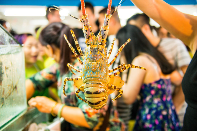 去三亚感受碧海蓝天,享受椰风海韵三亚度假指南精选