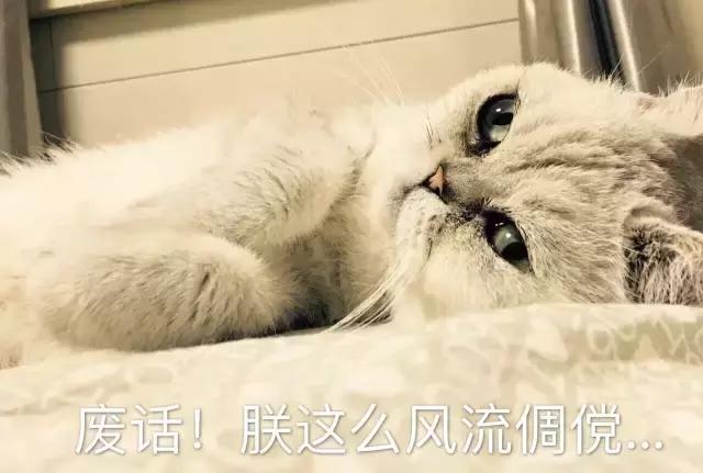 情侣搞笑分手套路,富二代的分手套路