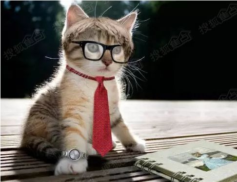 表情包我上班时候在想什么,理想与现实表情包