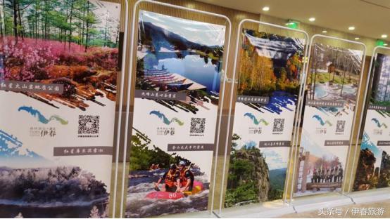 林都伊春有啥,北方林都伊春