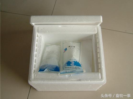 养猪怎样提高人工授精的成功率,养猪新模式猪舍建造