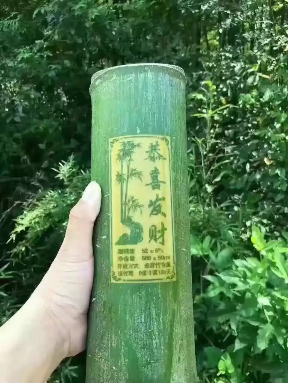 李业全,李业全杨梅酿酒