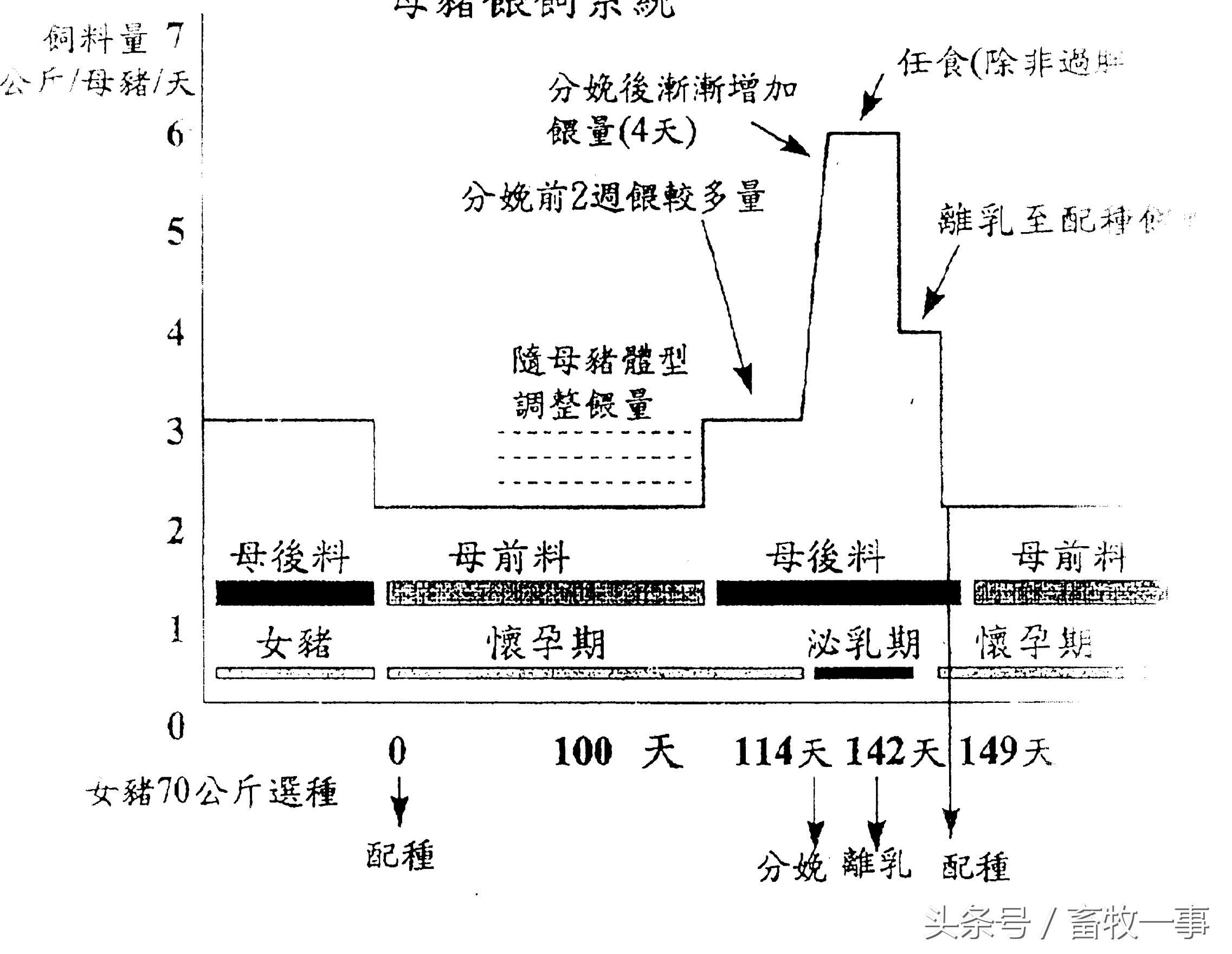 养猪怎样提高人工授精的成功率,养猪新模式猪舍建造