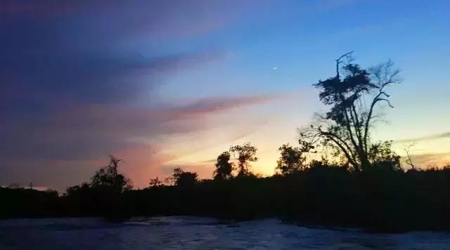 9种奇葩的动物蛋,这些奇葩的鸡蛋你见过吗