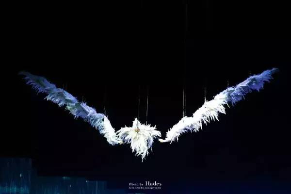 拔掉身上的刺的意思,拔掉你身上的刺歌曲