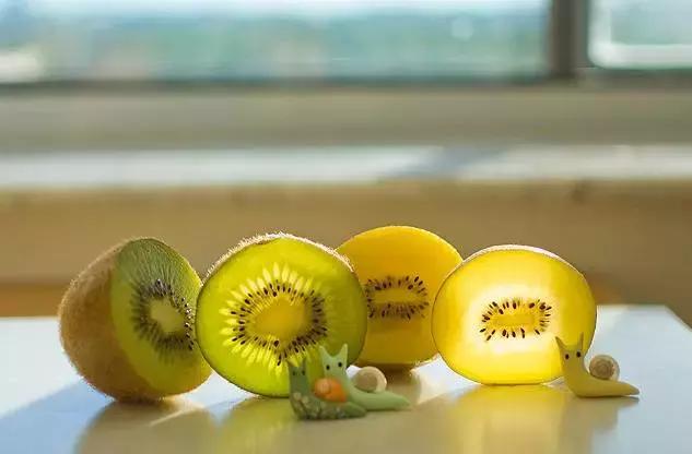 新西兰的奇异果为什么好,新西兰新鲜奇异果