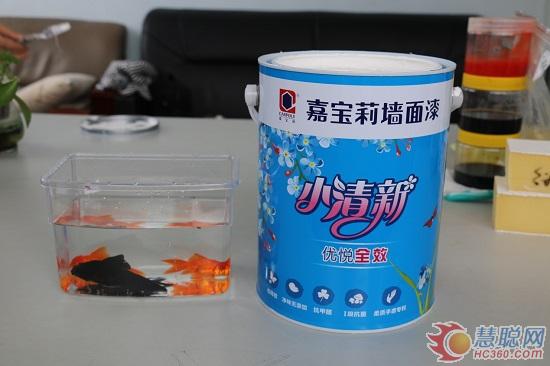 嘉宝莉乳胶漆测评报告,评测嘉宝莉油漆