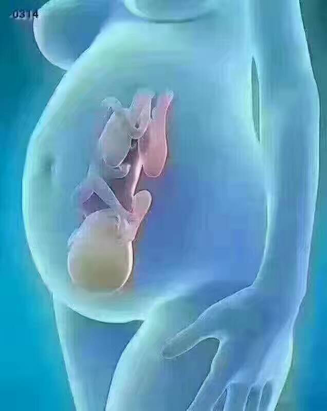 求子先调理身体的方法,求子路