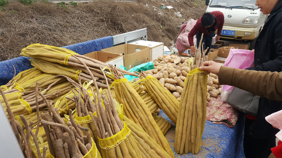 唐山市乐亭县大集,河北唐山乐亭大集