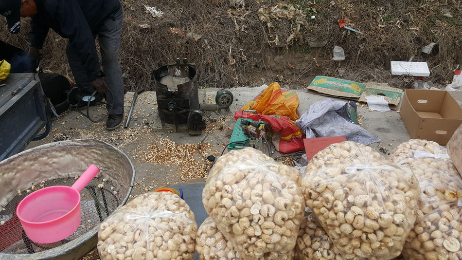 唐山市乐亭县大集,河北唐山乐亭大集