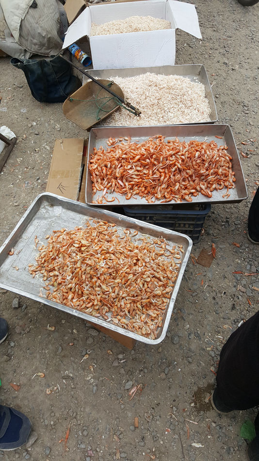 唐山市乐亭县大集,河北唐山乐亭大集