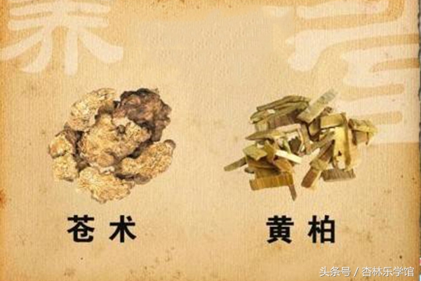 金匮要略湿热下注治脚气,中医治疗寒湿脚气医案
