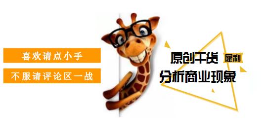 这家神秘的电商企业究竟如何 (美国当下最火的电商公司)