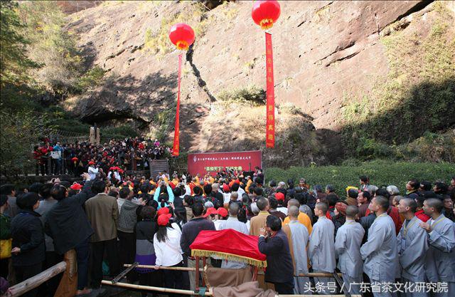 大红袍知识点全解,辽宁干货大红袍货源充足