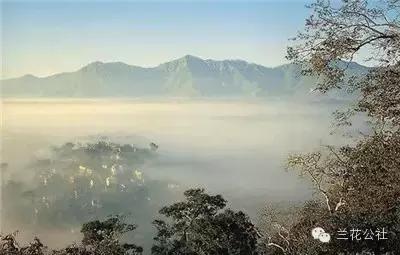 世界三大高香红茶,世界三大高香红茶是怎么评判的