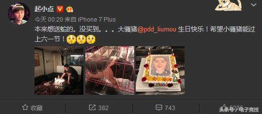 lolpdd主播视频,pdd过生日起小点送香猪