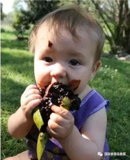 海南你没见过的水果,海南你没有见过的水果